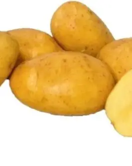 pomme de terre sac/palette/container/camion