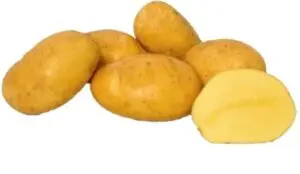 pomme de terre sac/palette/container/camion