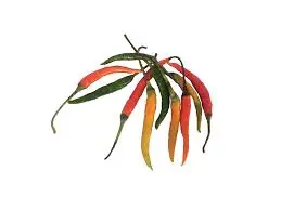 piment bec d'oiseau carton de 3 kg